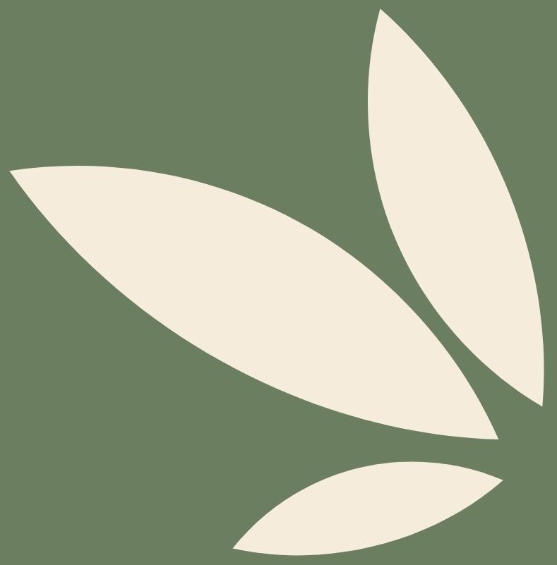 Icône feuille Jungletri pour illustrer l’organisation naturelle et apaisante